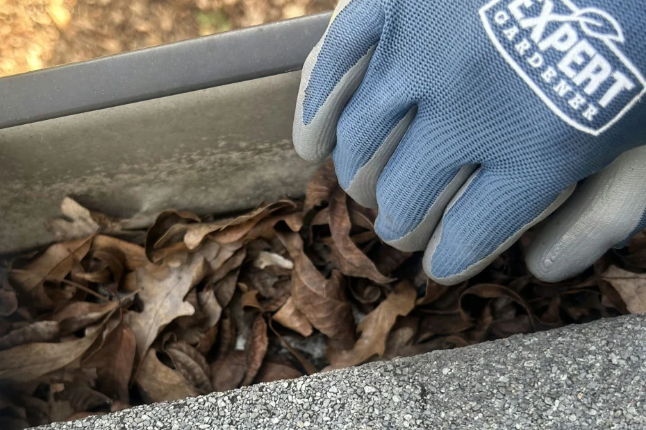 Gutter Cleaning Garfield Heights